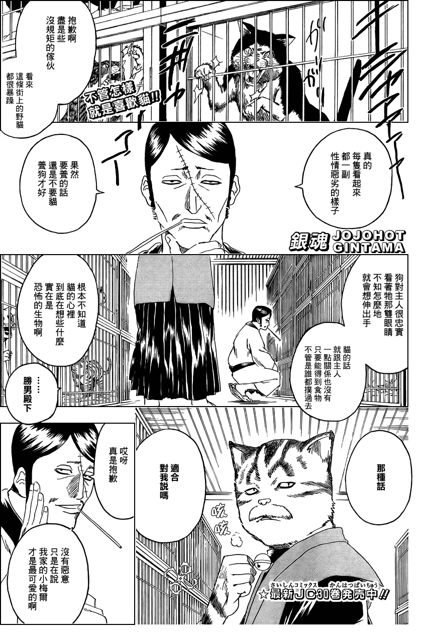 銀魂 277話 漫畫線上看 動漫戲說 Acgn Cc